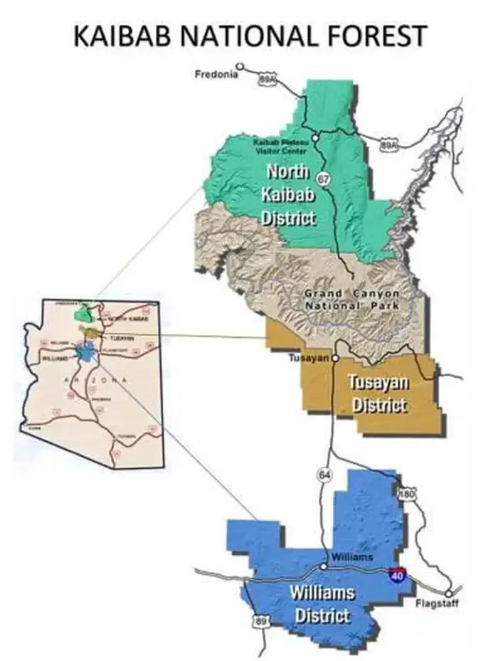 Kaibab National Forest Christmas Tree Permit