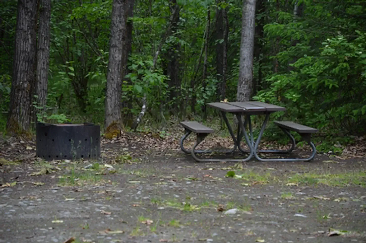 Dyea Campground