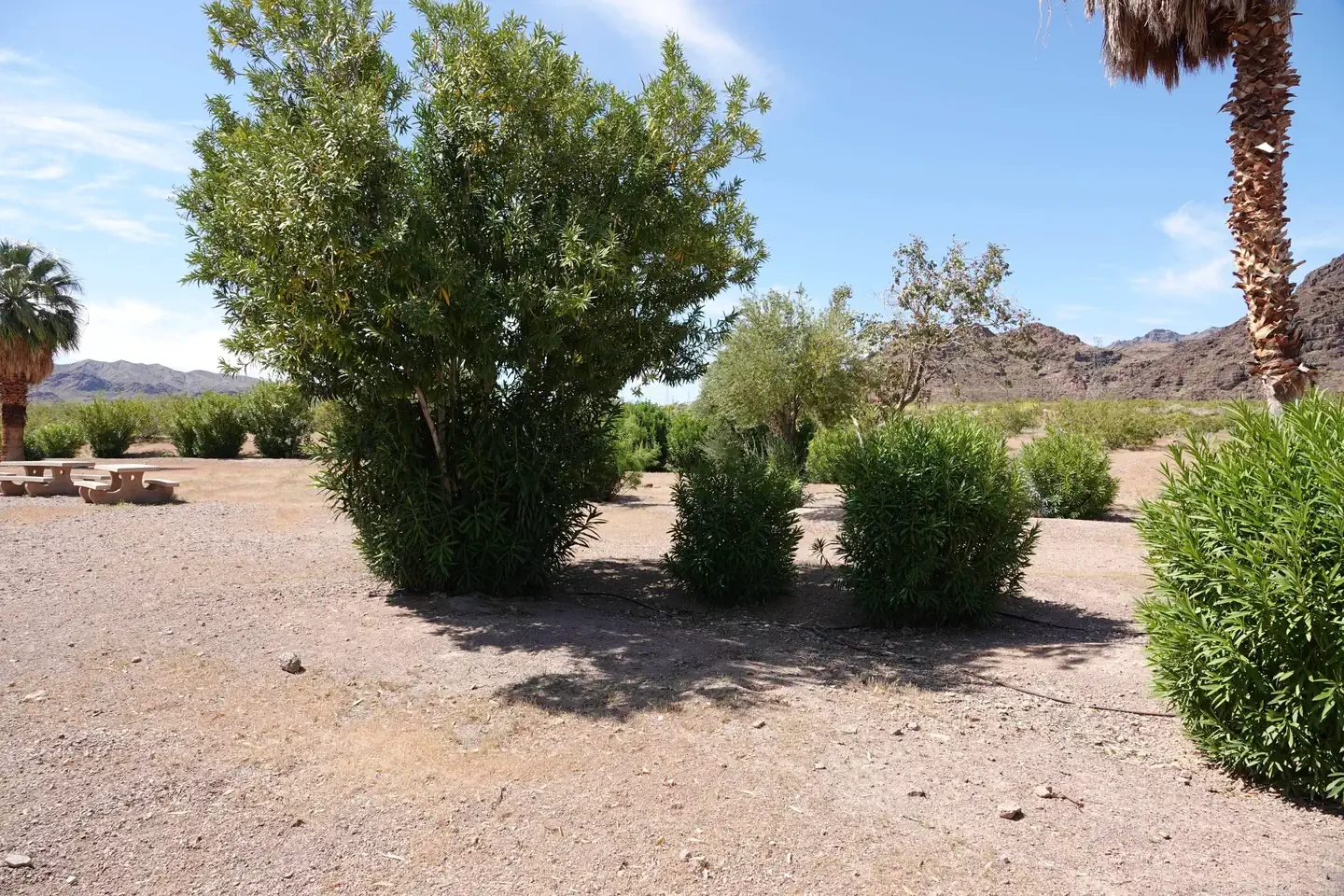 Boulder Beach Group Campsites