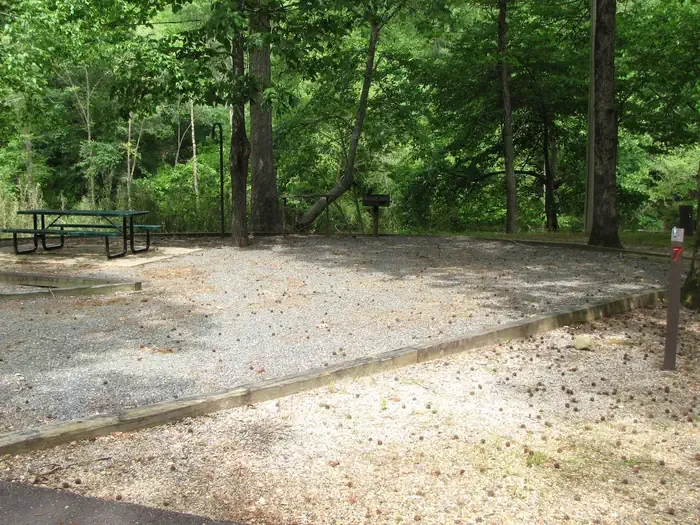 Site 7