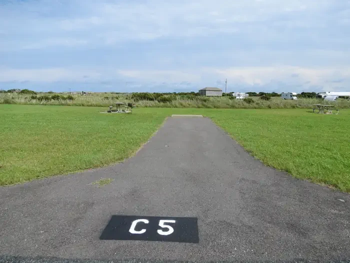 C005