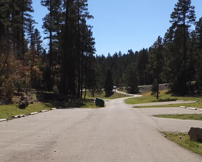 Lower Fir Group Area