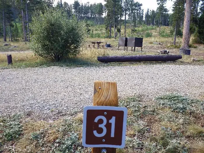 031
