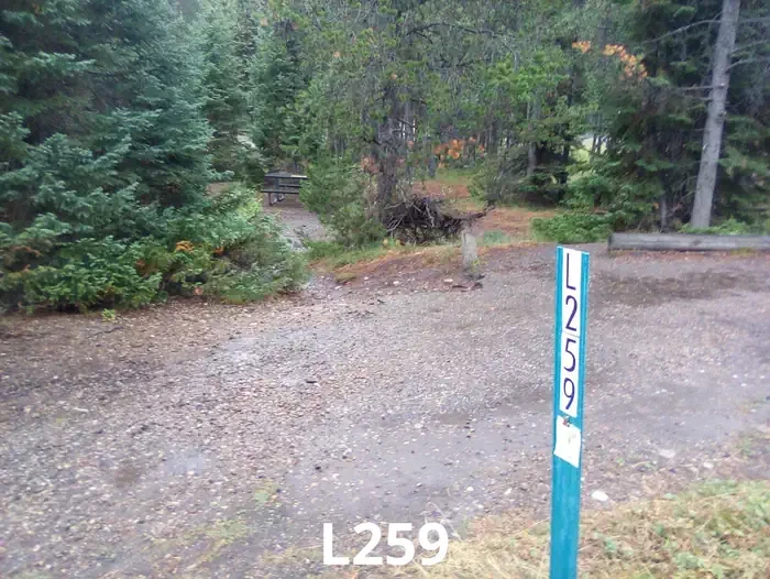 259
