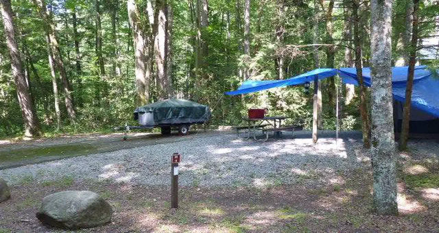 M06