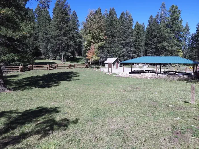 Black Bear Group Area