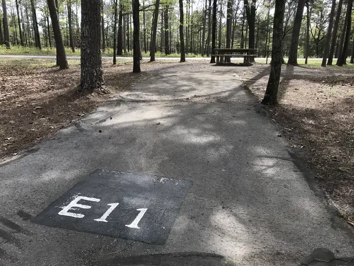 E11