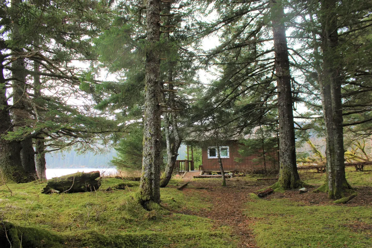 BLUE FOX BAY CABIN