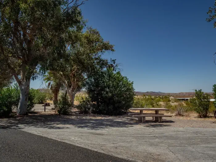 Site 40