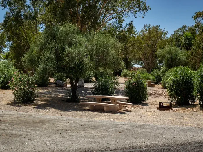 Site 38