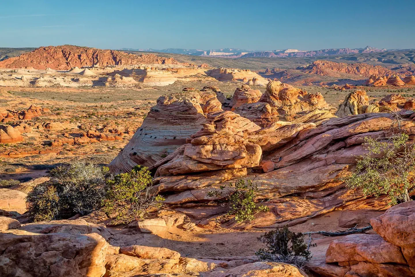 Coyote Buttes South Advanced Permit