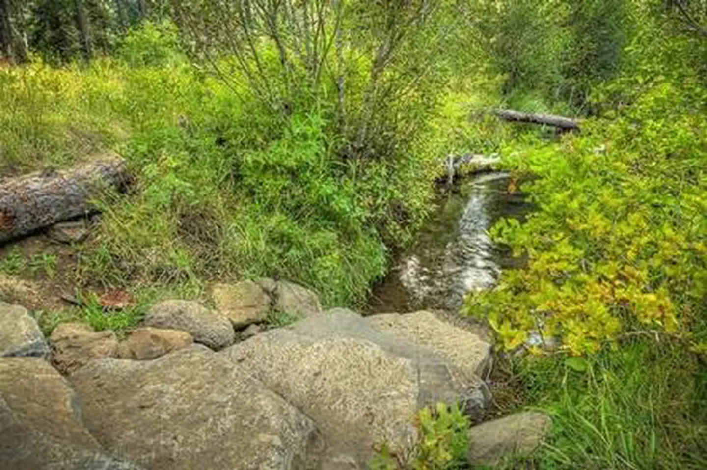 Allen Springs Campground
