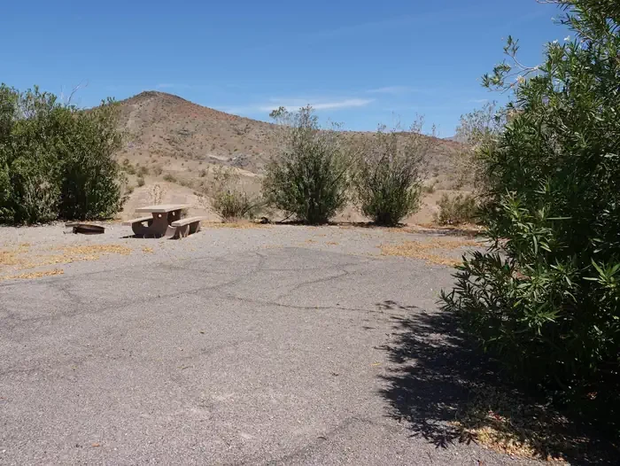Site 40