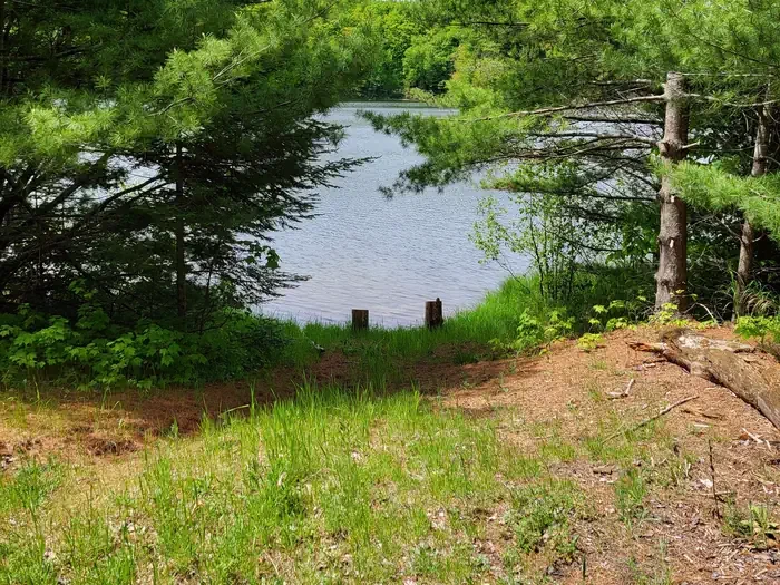 Lake Nineteen Campsite