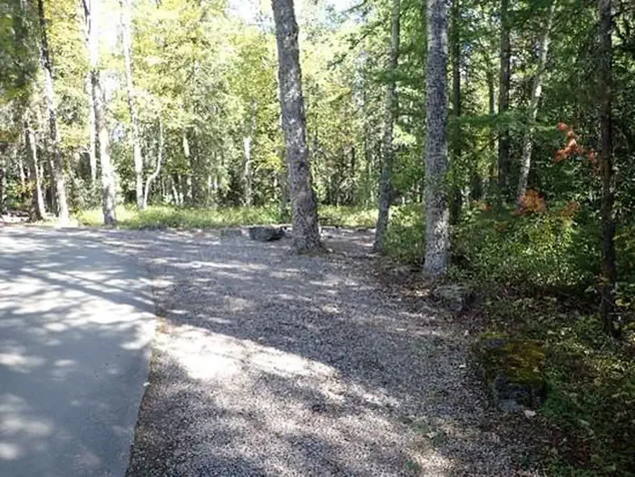 A33