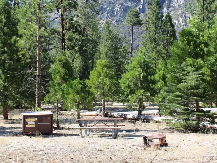 Site:  12