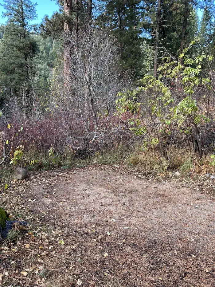 Hayfork Group Cg