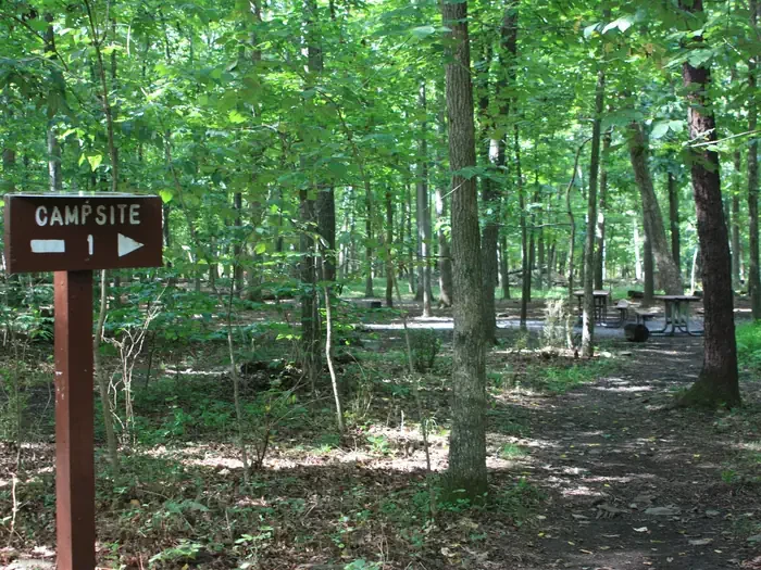 Marsden Tract Group Campsite