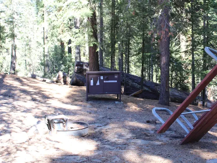 Site: 46