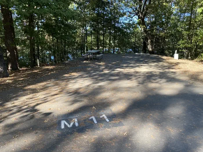 M11