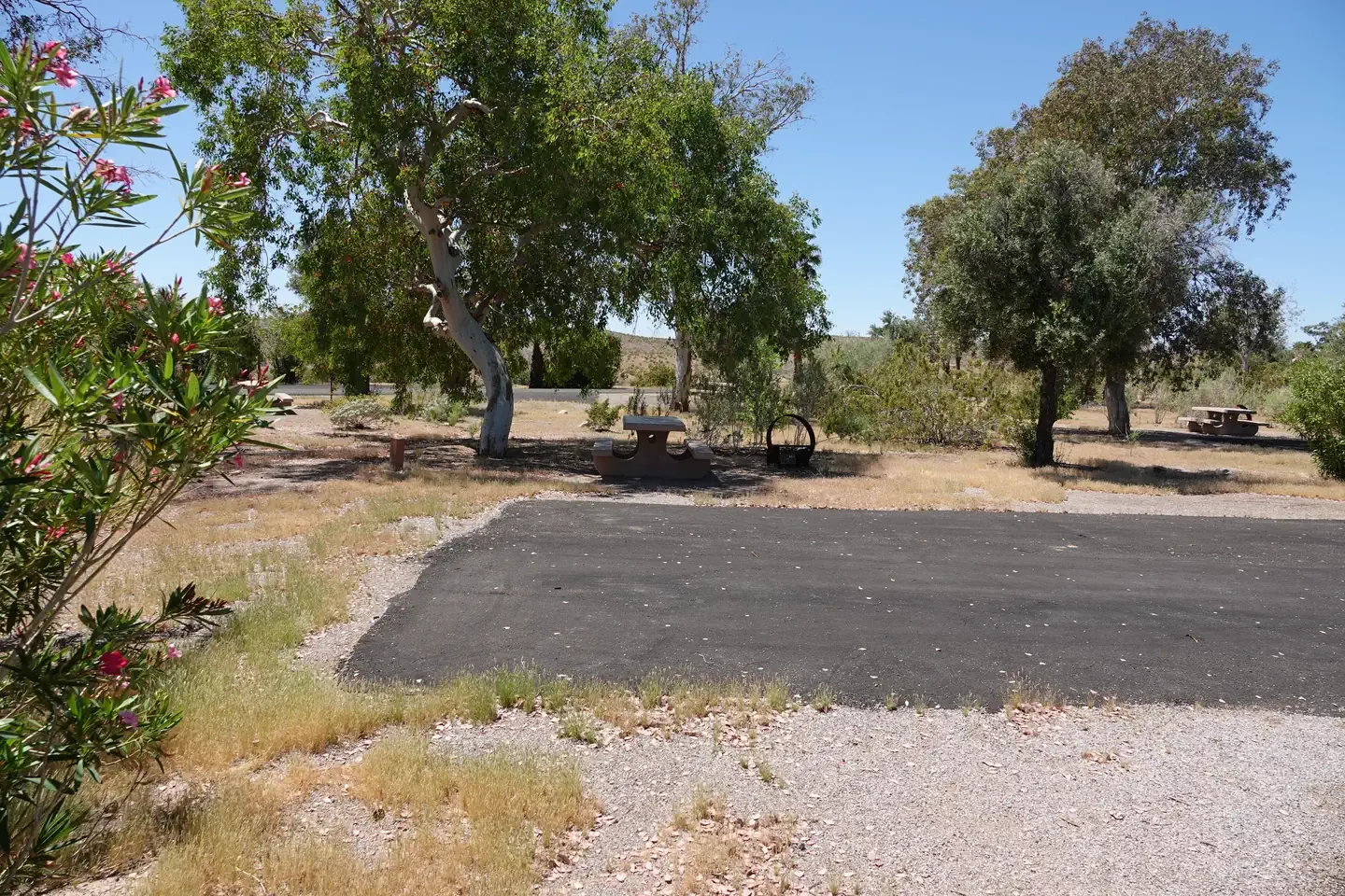 Site 47