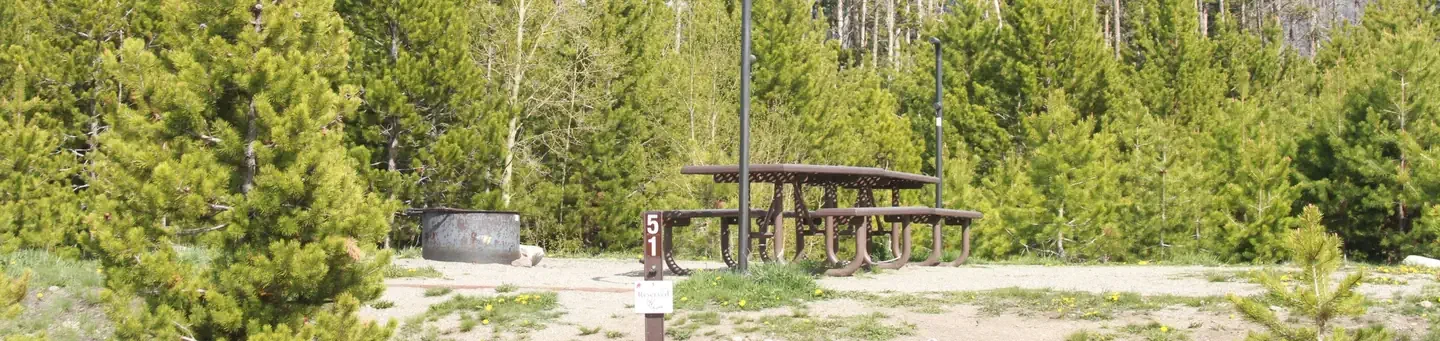 D51