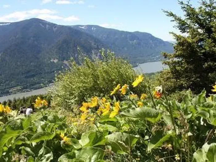 Dog Mountain Trail System Permits