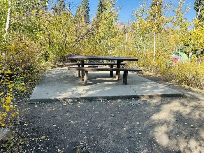 A14