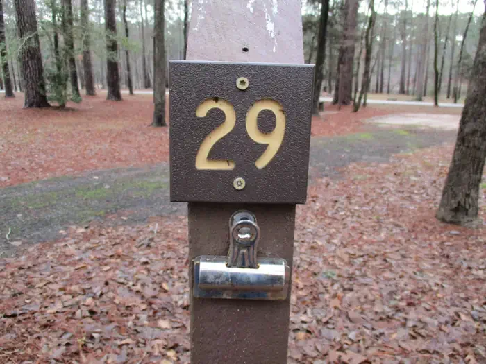 029