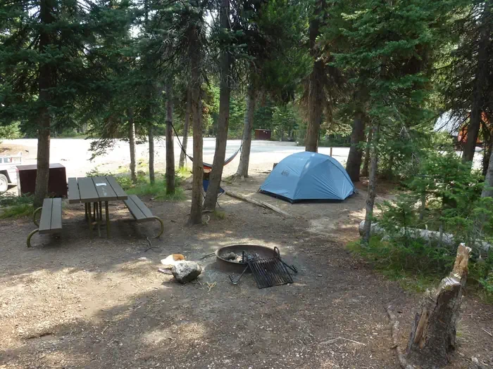 Lewis Lake site #39