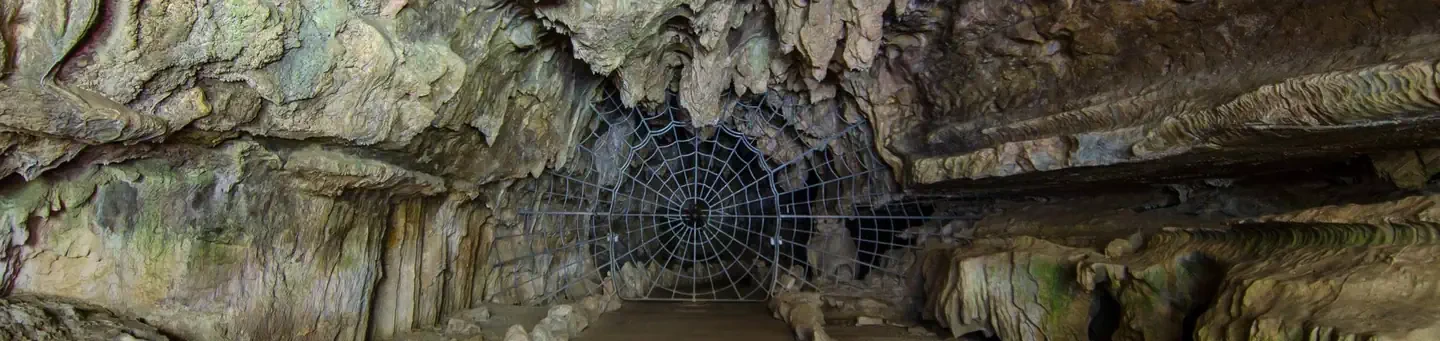 Crystal Cave Tours Sequoia National Park