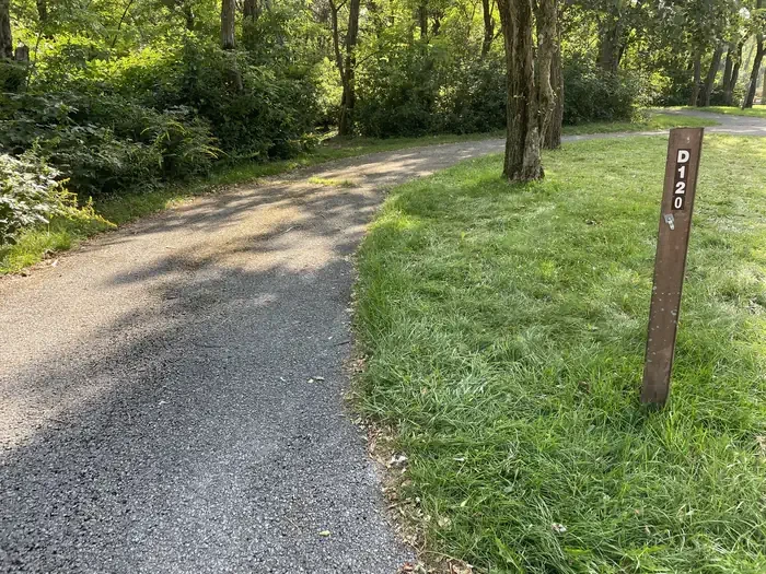 D120