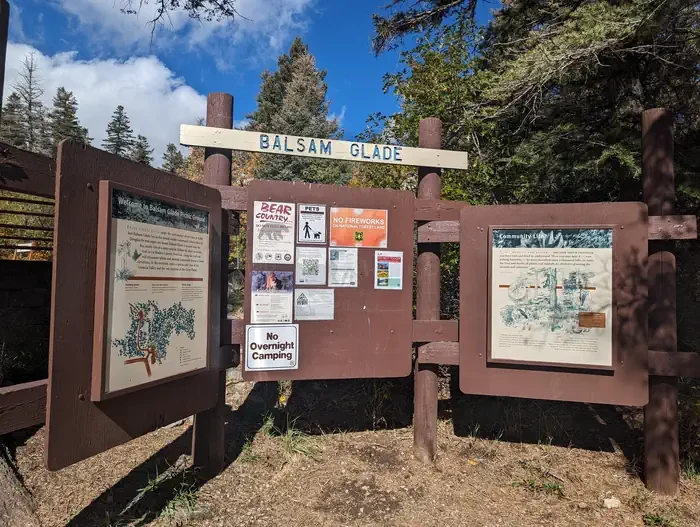 Balsam Glade Picnic Site