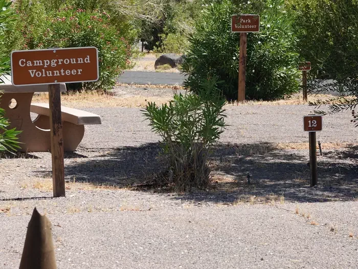 Site 12