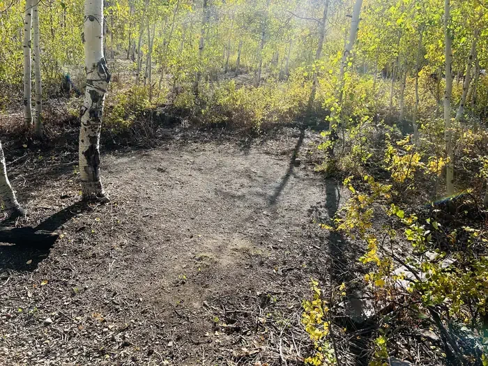 A08