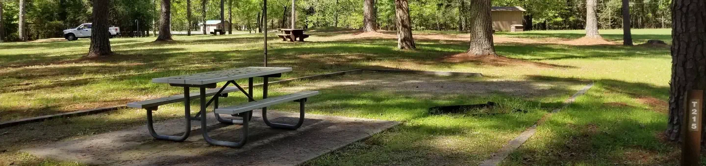 T115