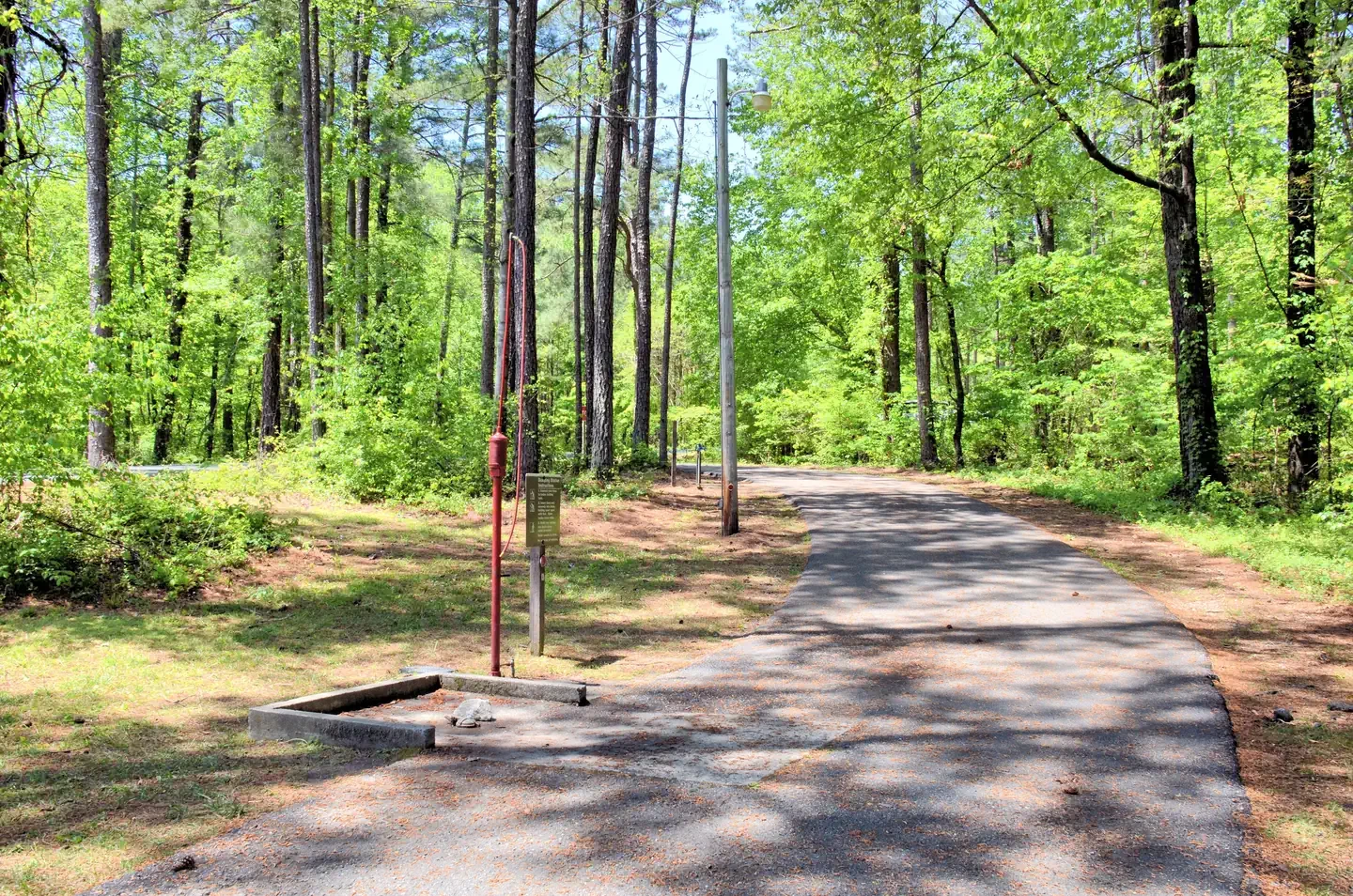 Payne Campground-Allatoona Lake
