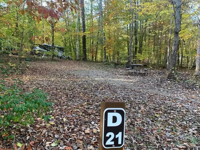 D-21