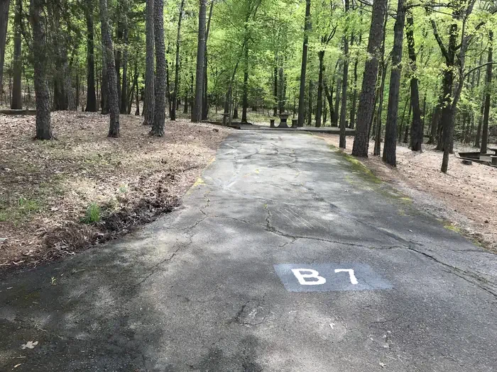 B07