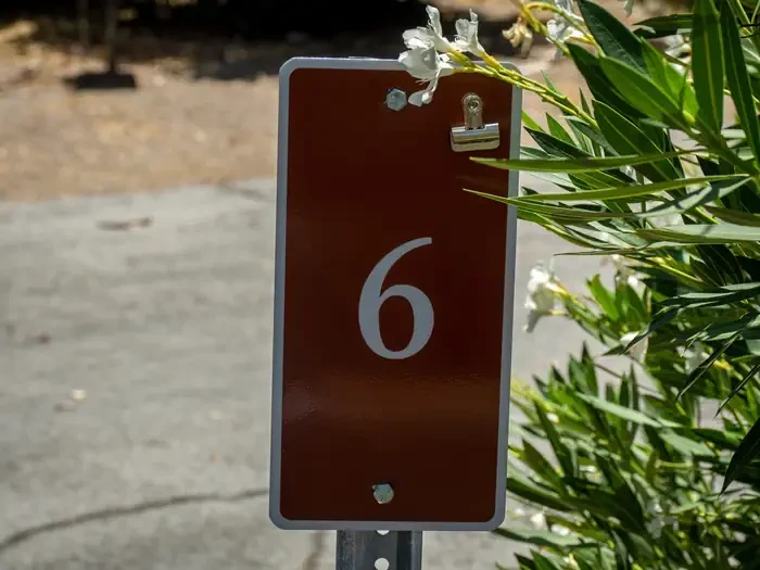 Site 6