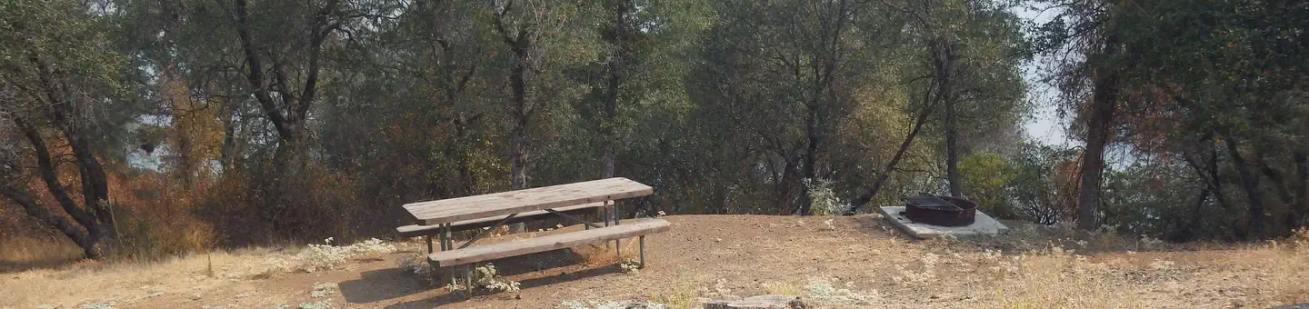 041