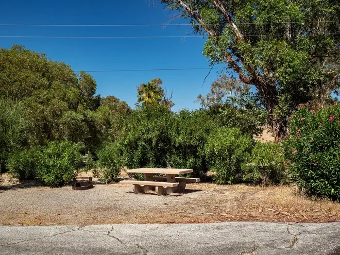 Site 55