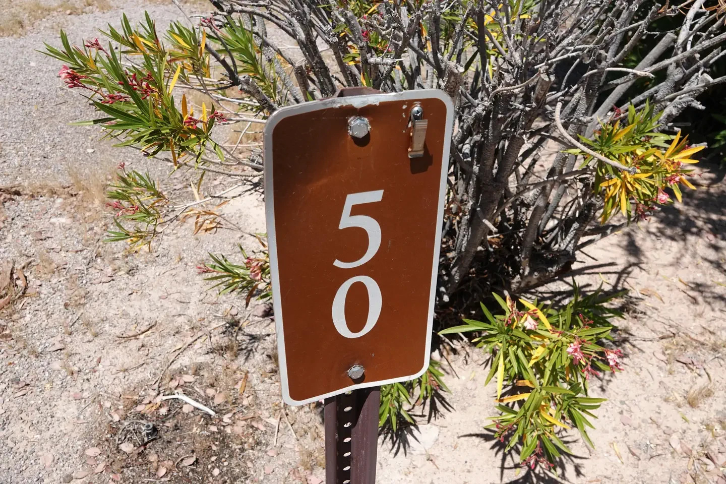 Site 50