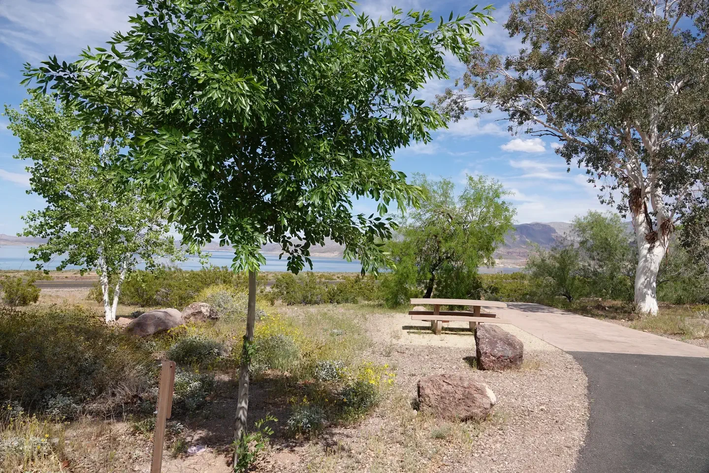 Site 79