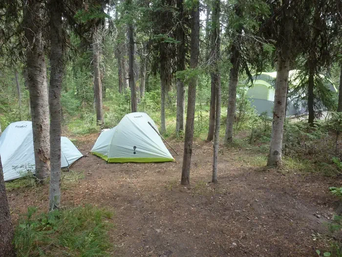 Lewis Lake site #70