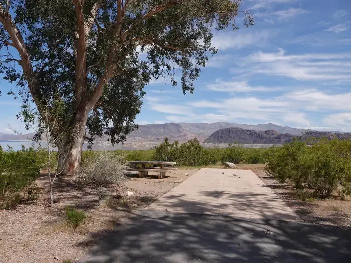 Site 55