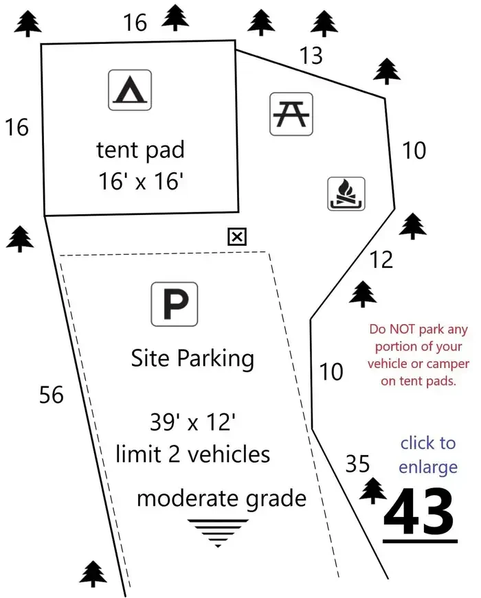 43