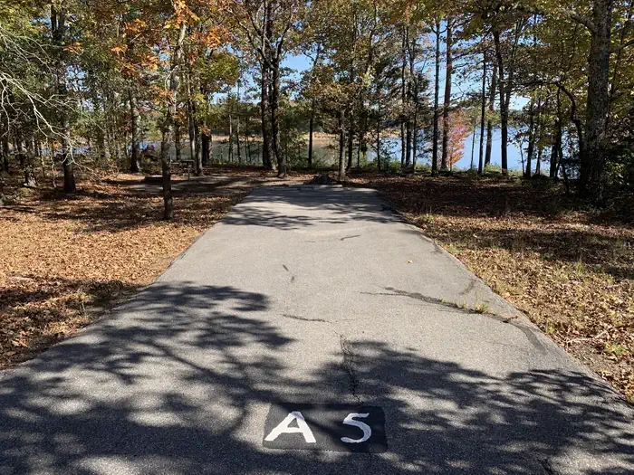 A05