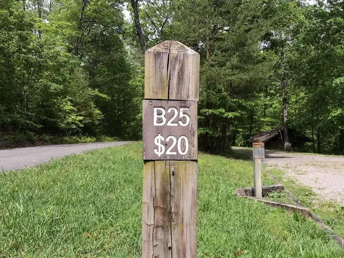 25
