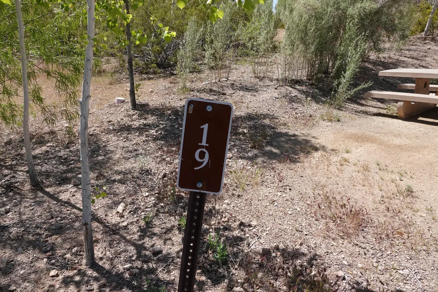Site 19